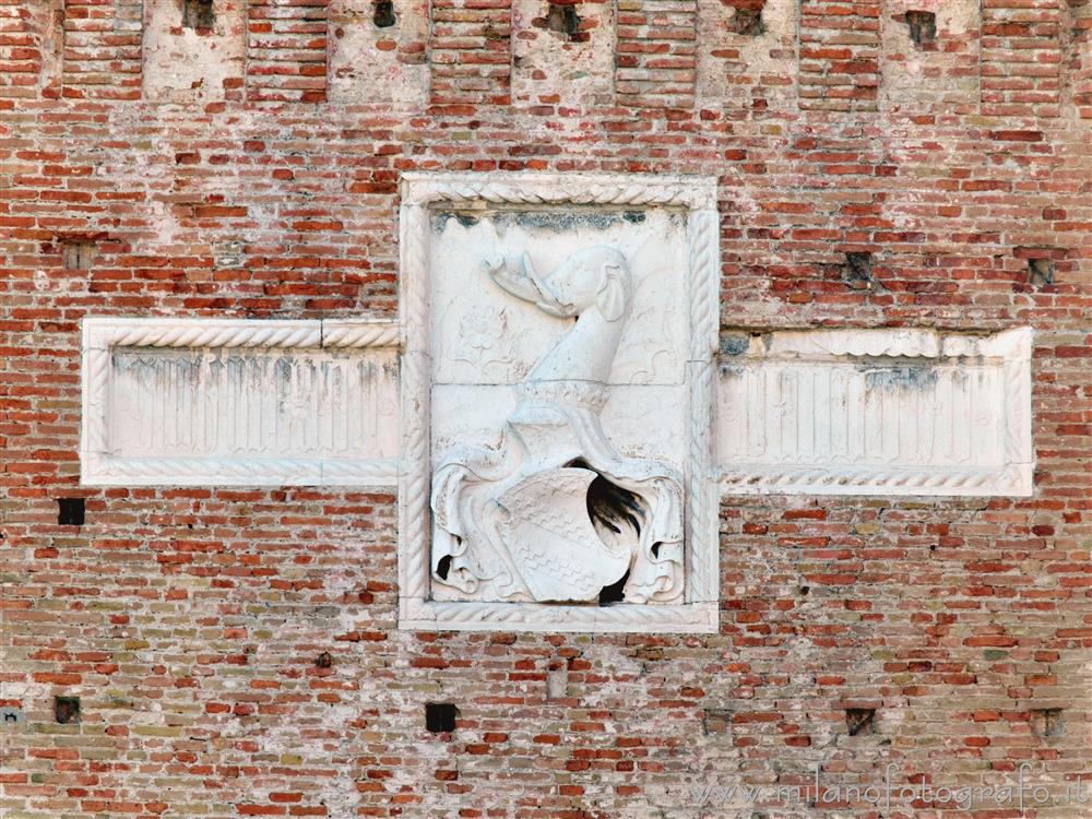 Rimini - Stemma malatestiano sopra all'ingresso di Castello di Sigismondo Pandolfo Malatesta 